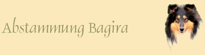 Abstammung Bagira