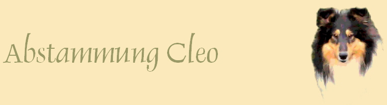 Abstammung Cleo